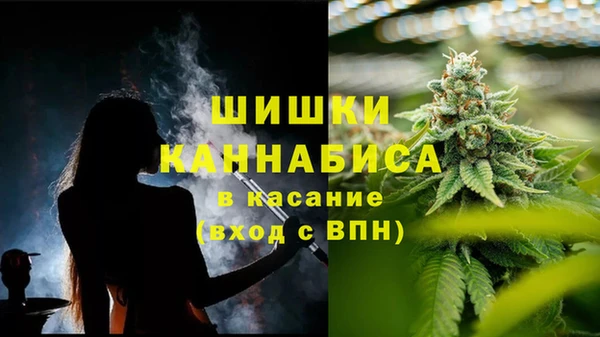 ECSTASY Богородск