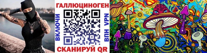 Купить закладки  Бородино  Галлюциногенные грибы Psilocybe 